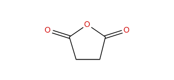 Dihydro-2,5-furandione